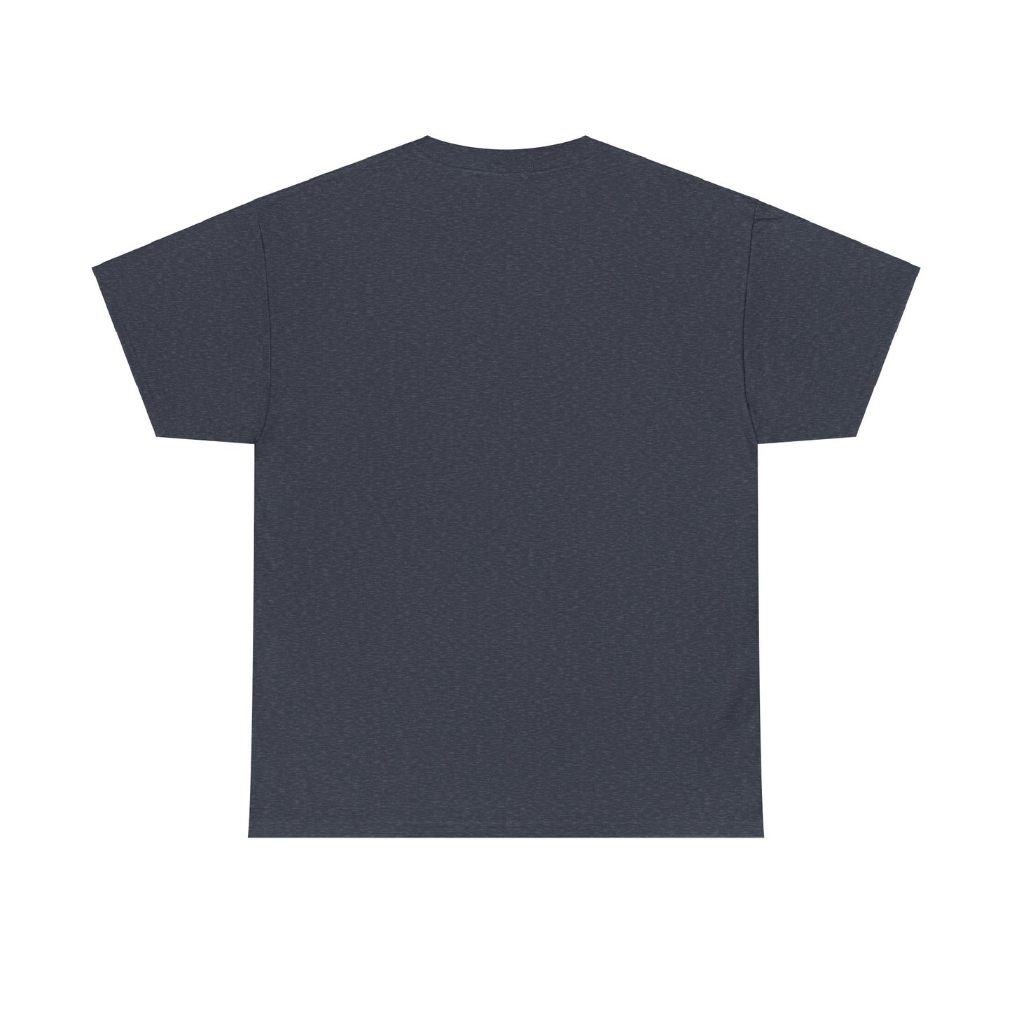 Apollo Program - Unisex Heavy Cotton Tee