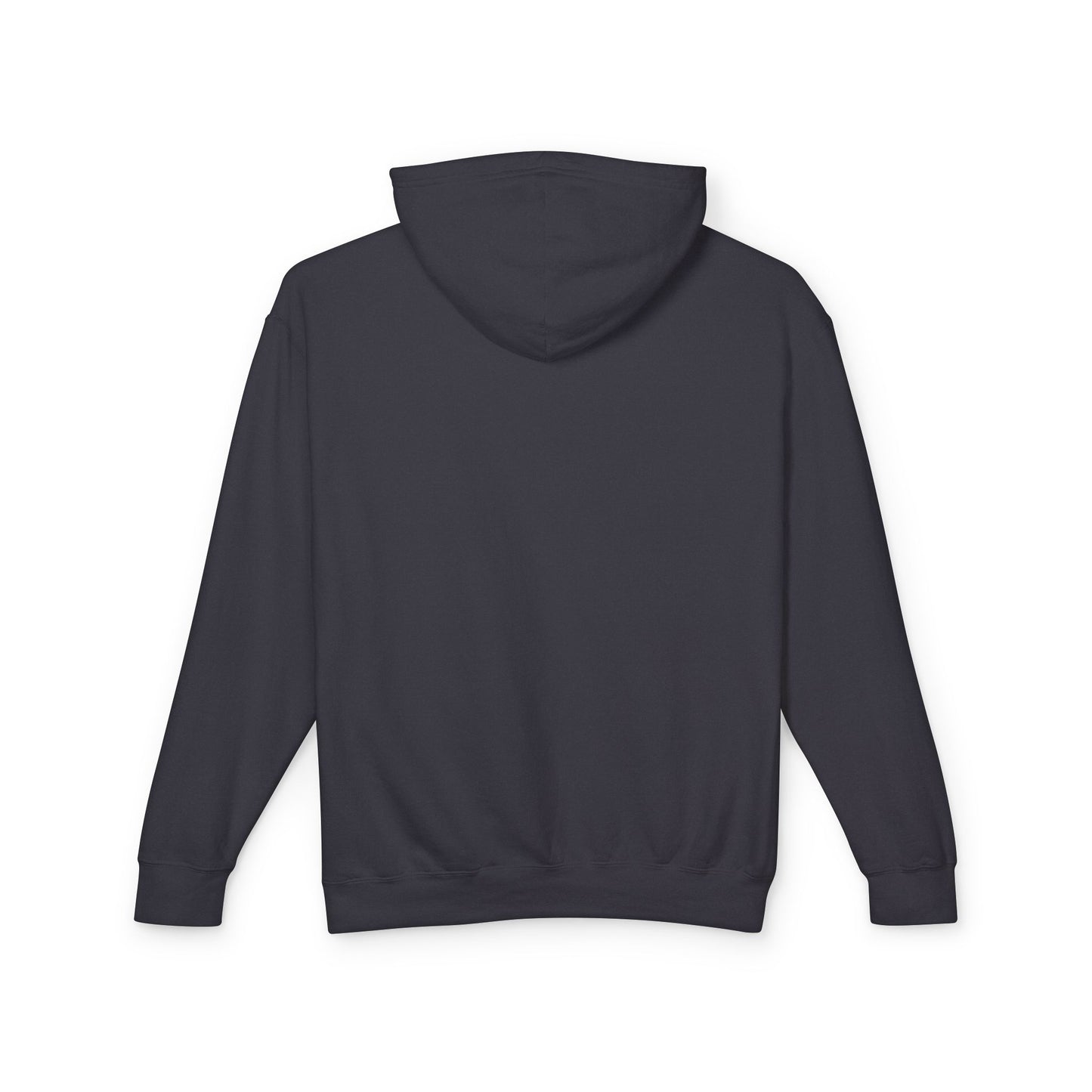 Seattle Troll Lightweight Hoodie - Resist No Kings Design