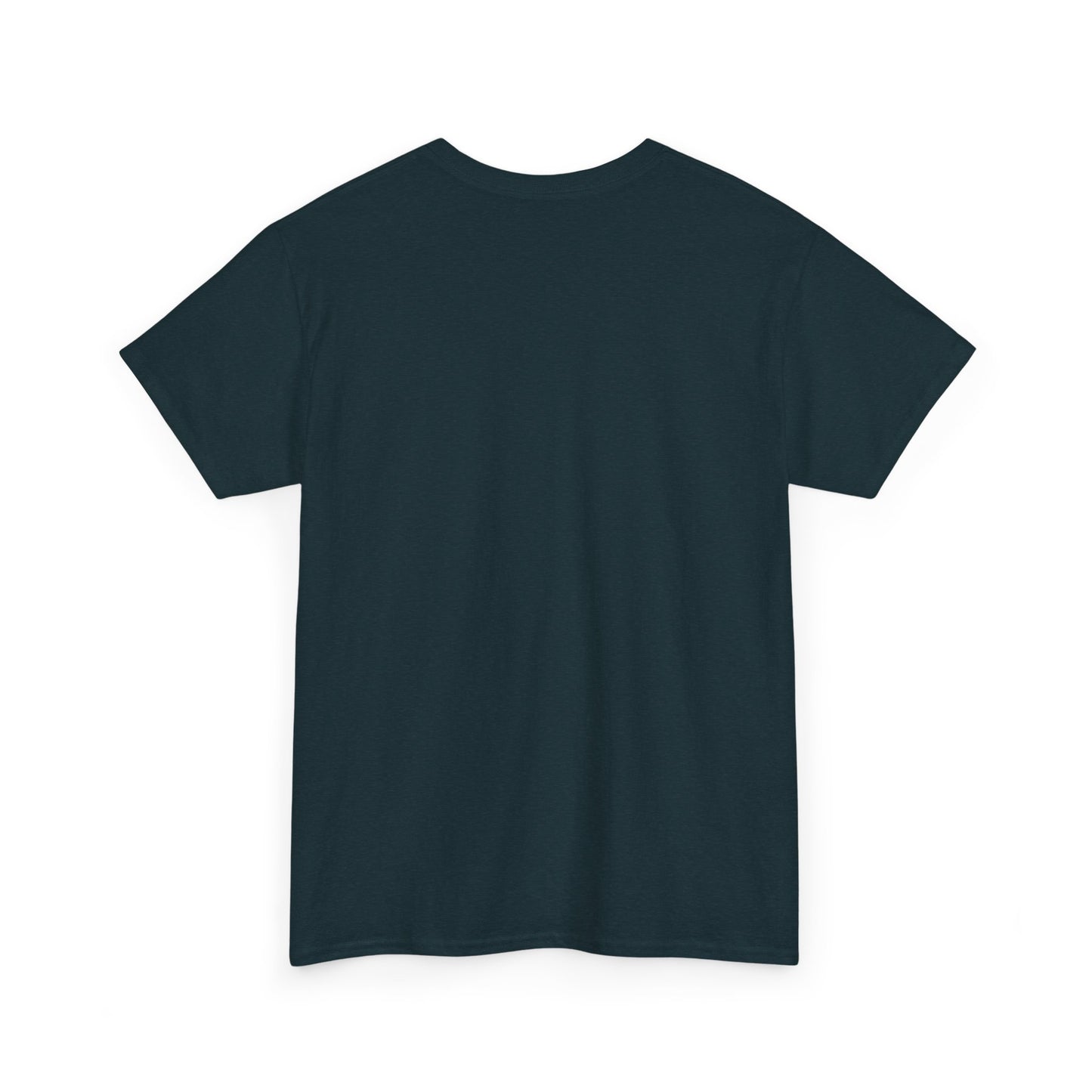 Apollo Program - Unisex Heavy Cotton Tee