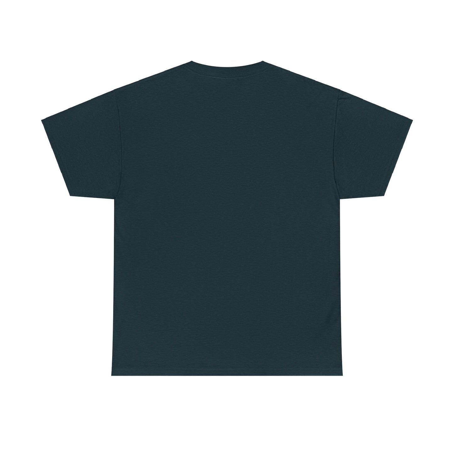 Apollo Program - Unisex Heavy Cotton Tee