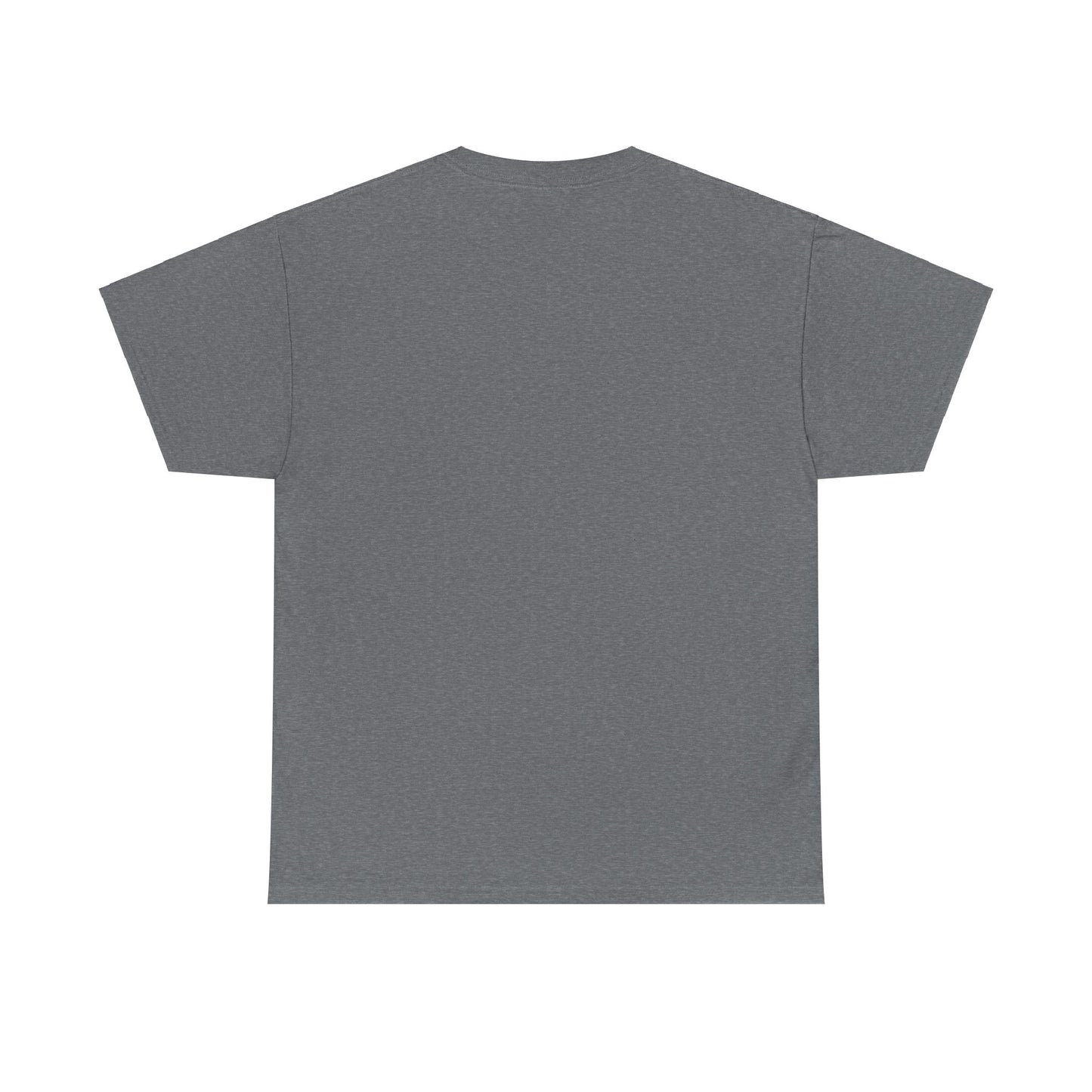 Apollo Program - Unisex Heavy Cotton Tee