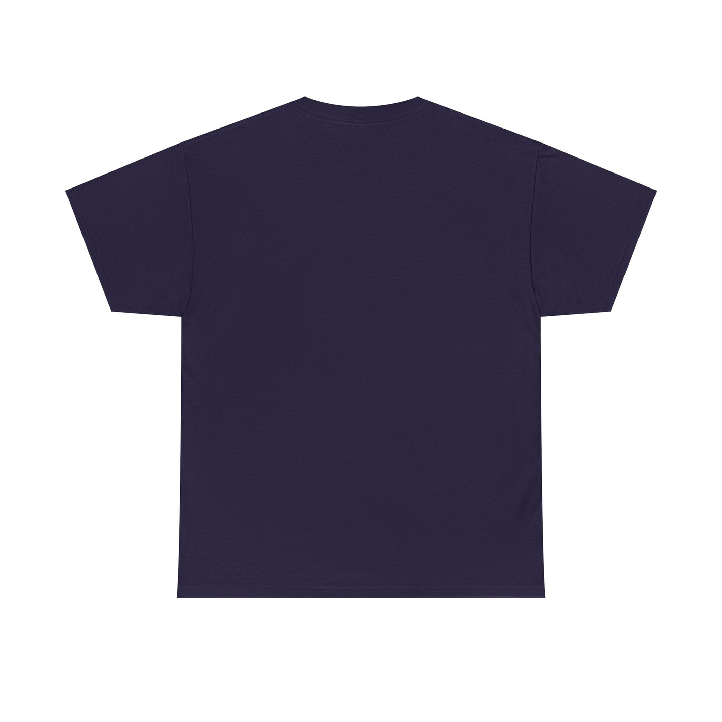 Apollo Program - Unisex Heavy Cotton Tee