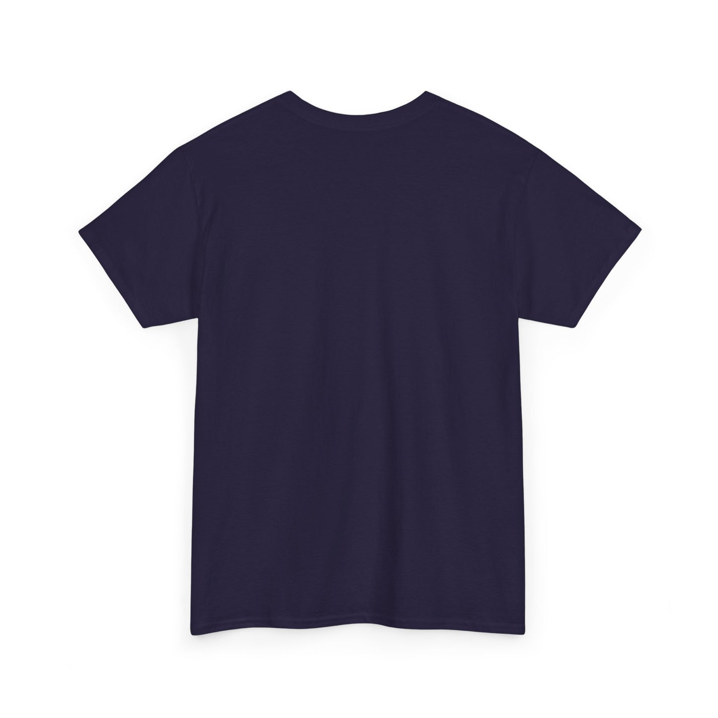 Apollo Program - Unisex Heavy Cotton Tee